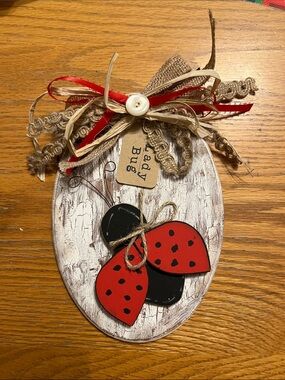 Rustic Ladybug Wooden Wall Hanging - Red & Black